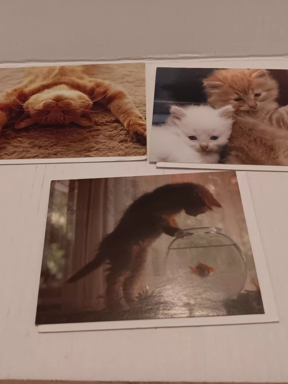 3 Vintage Hallmark Ambassador Greeting Note Card Kittens Glossy Photo Like Blank